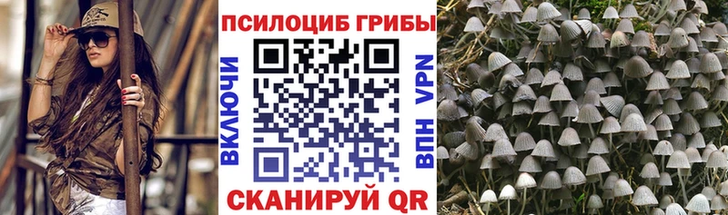 где найти наркотики Надым Галлюциногенные грибы мицелий